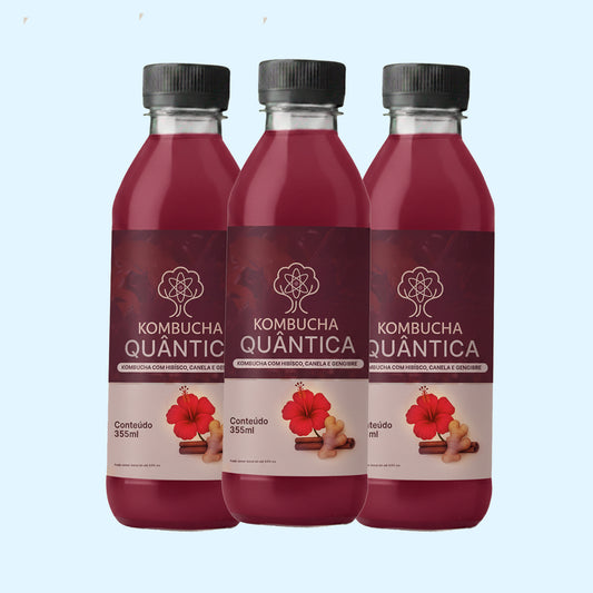 Kombucha com Hibisco, Canela e Gengibre